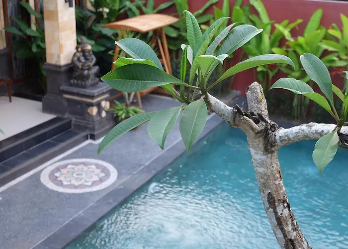 Wiki Bali 3* Ubud