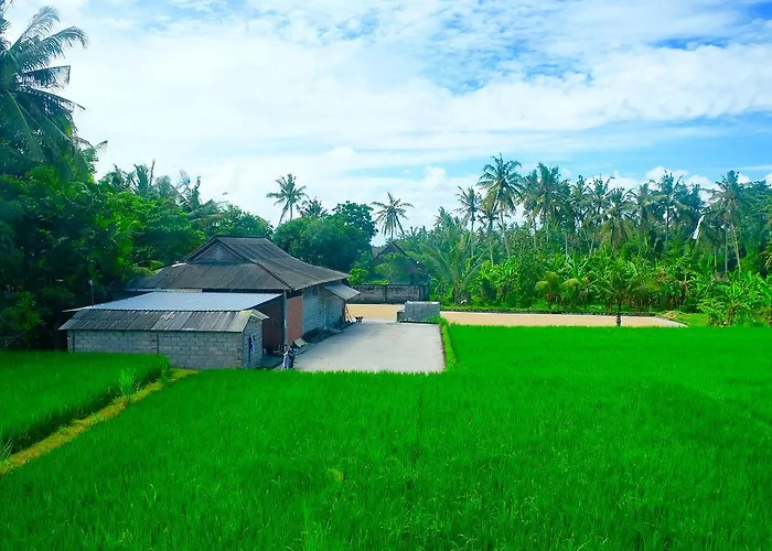 Wiki Bali Ubud