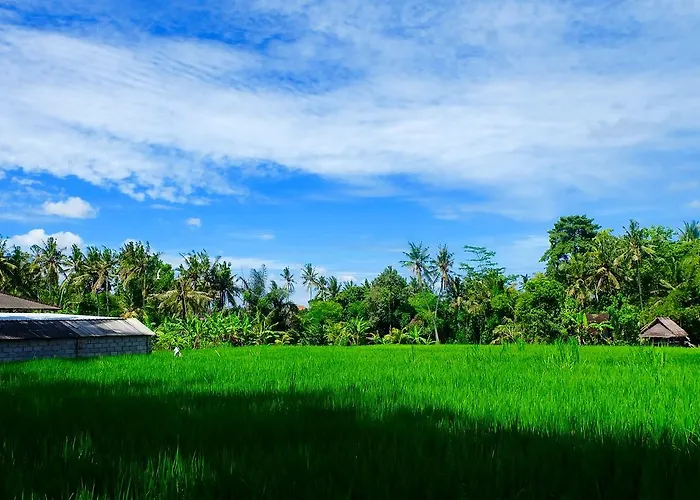 Gasthof Wiki Bali 3*